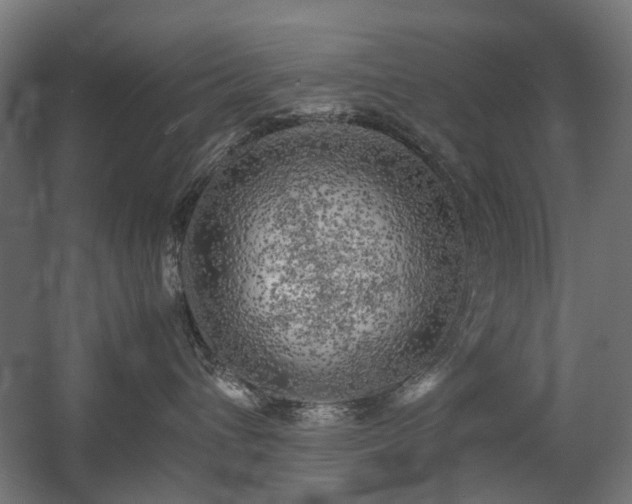 X0000060570432200511031314