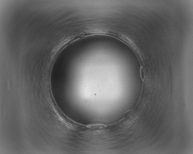 X0000060570433200511031313