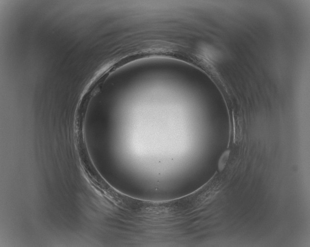 X0000060570435200511031313