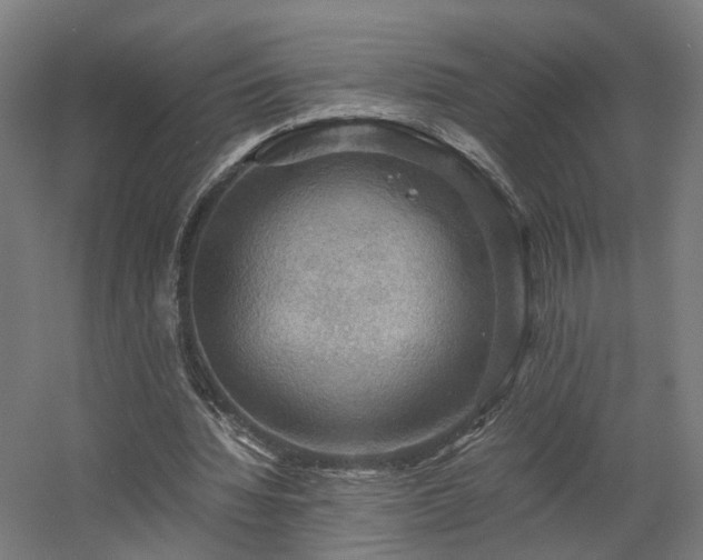 X0000060570436200511031313