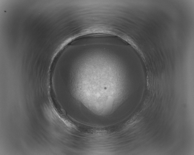 X0000060570438200511031313