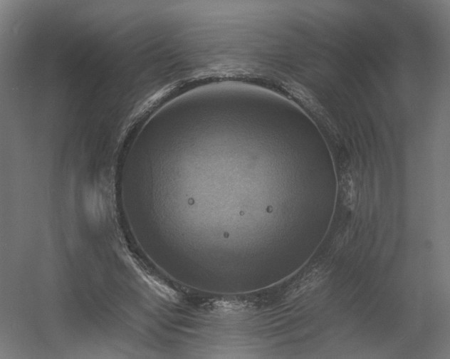 X0000060570442200511031313