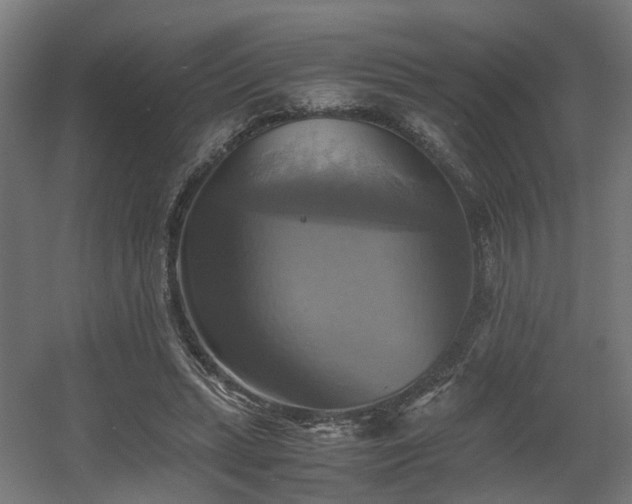 X0000060570447200511031314