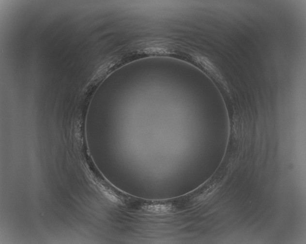 X0000060570449200511031314