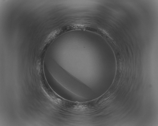 X0000060570451200511031314