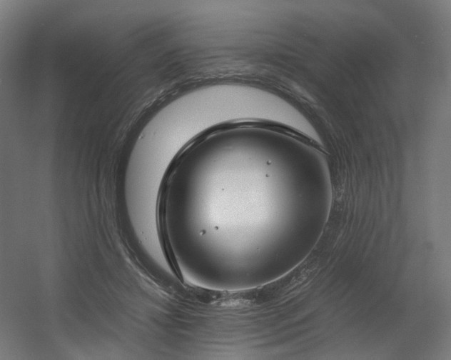 X0000060570452200511031314