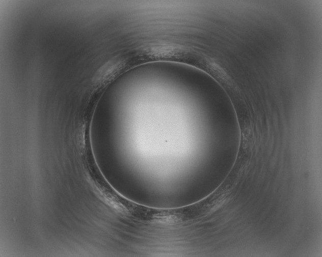 X0000060570454200511031314