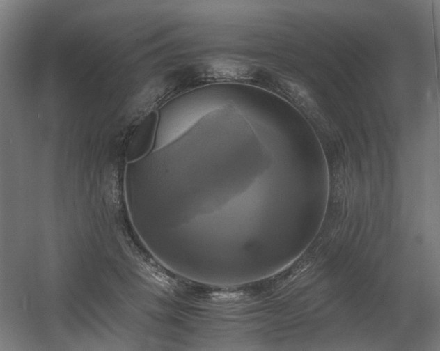 X0000060570457200511031314
