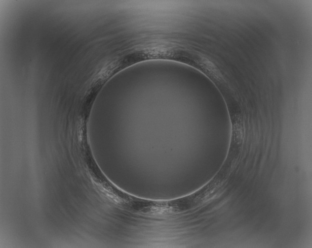 X0000060570458200511031314