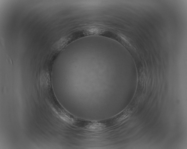 X0000060570459200511031314