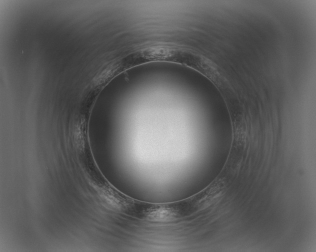 X0000060570460200511031314
