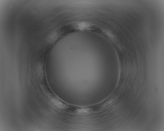 X0000060570461200511031314