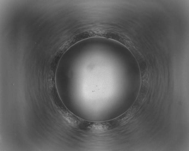 X0000060570464200511031314