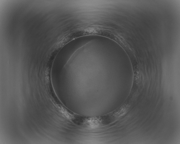 X0000060570466200511031314