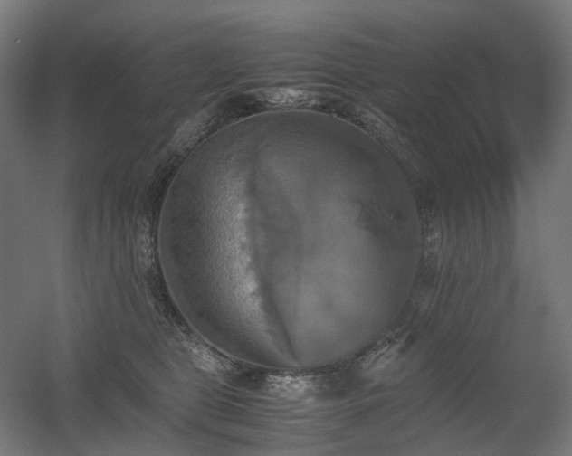 X0000060570469200511031314