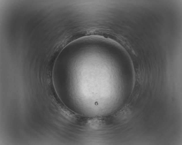 X0000060570470200511031314