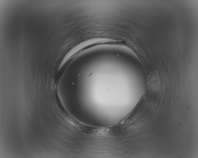 X0000060570474200511031314
