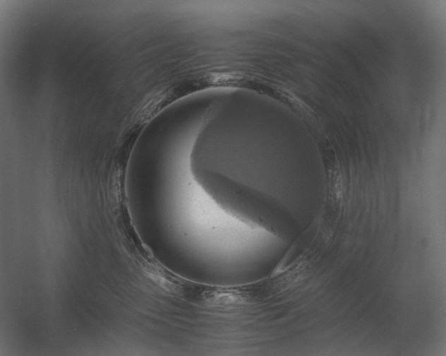 X0000060570475200511031314