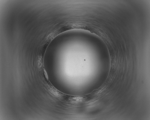 X0000060570478200511031314