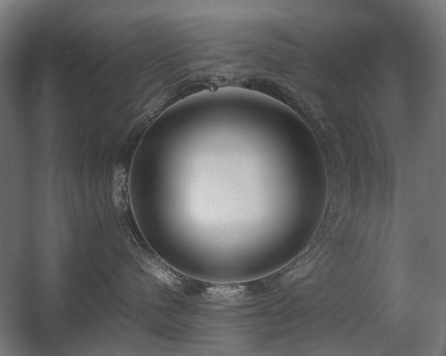 X0000060570480200511031314