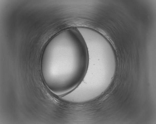 X0000060570481200511031313