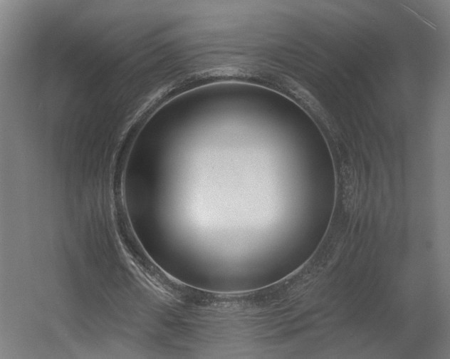 X0000060570482200511031313