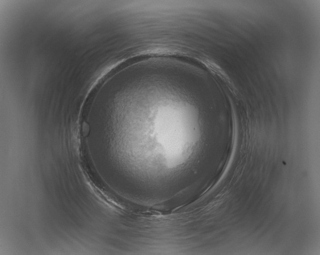 X0000060570484200511031313