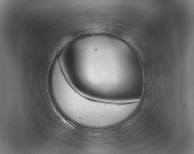 X0000060570485200511031313