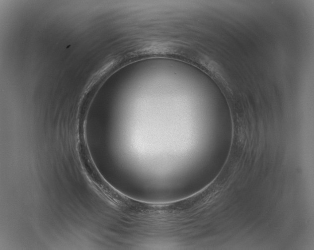 X0000060570486200511031313