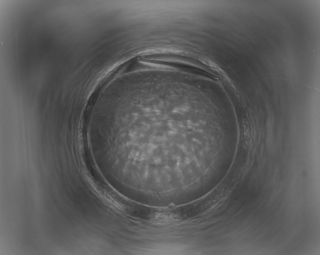 X0000060570487200511031313