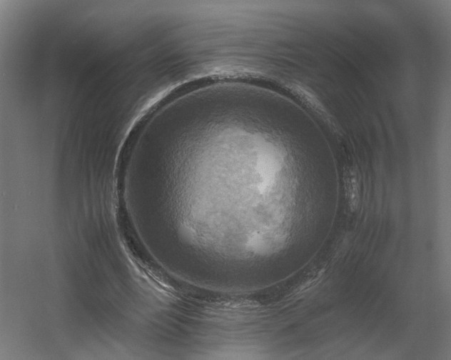 X0000060570488200511031313