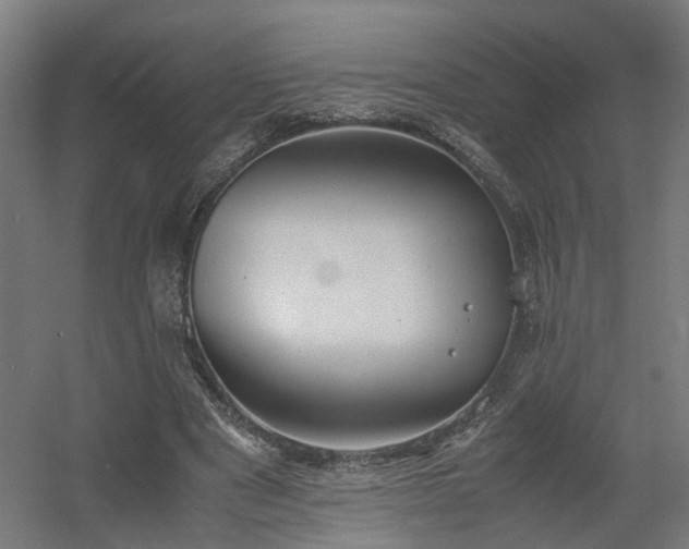 X0000060570489200511031313