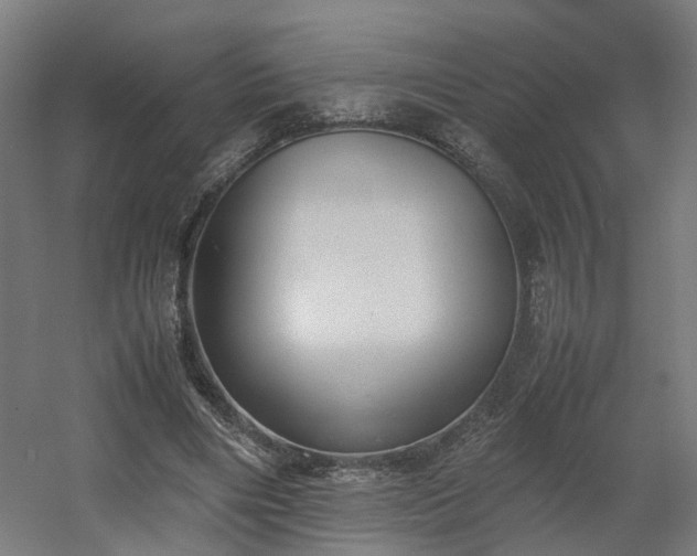 X0000060570490200511031313