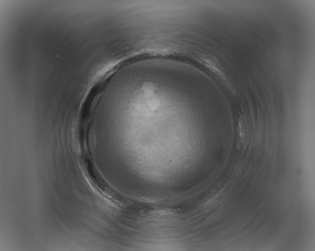 X0000060570492200511031313