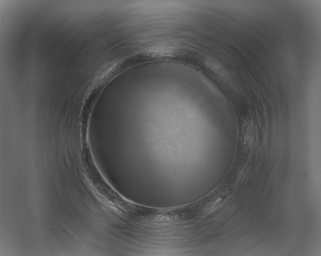 X0000060570494200511031313