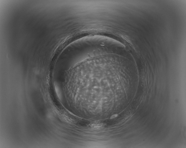 X0000060570495200511031313