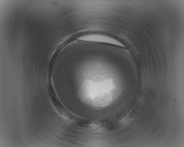 X0000060570496200511031313