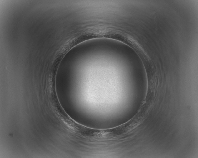 X0000060570497200511031313