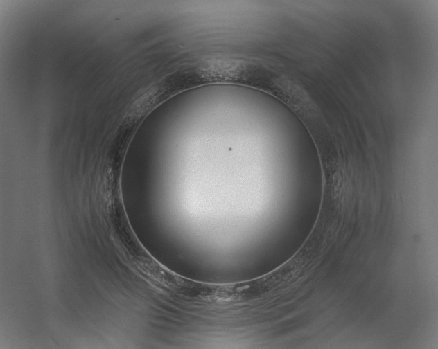 X0000060570498200511031313
