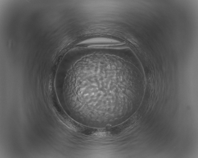 X0000060570499200511031313