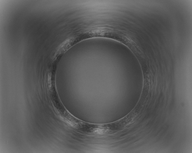 X0000060570504200511031313