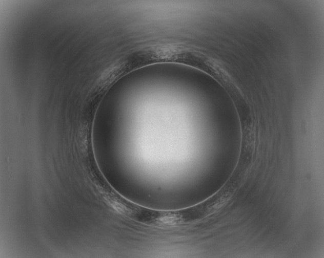 X0000060570505200511031313
