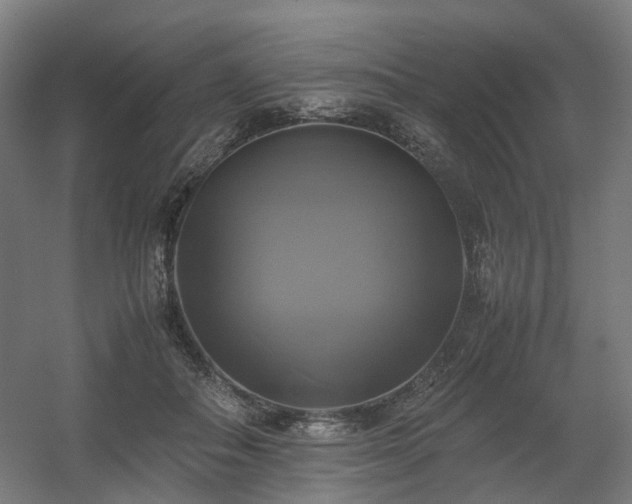 X0000060570506200511031313