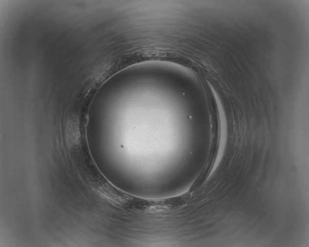 X0000060570508200511031313