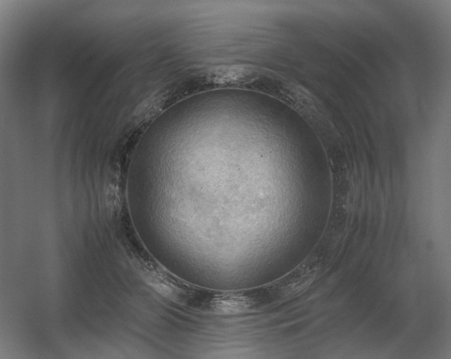 X0000060570510200511031313
