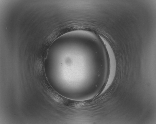 X0000060570513200511031313