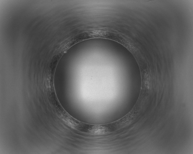 X0000060570514200511031313