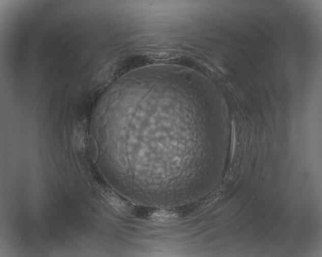 X0000060570515200511031313
