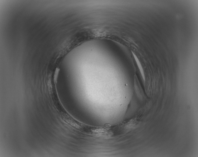 X0000060570516200511031313