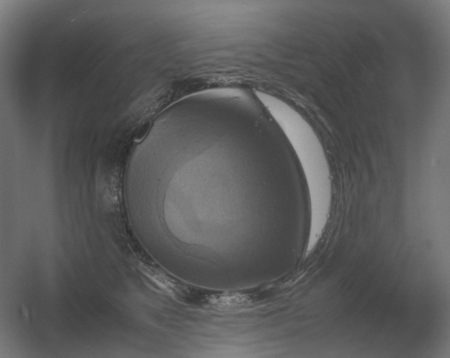 X0000060570517200511031313